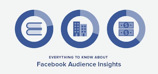 Facebook Audience Insights.