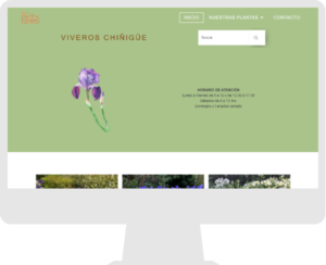 Viveroschinigue